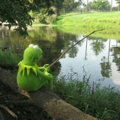 THEE MfanyiKazi 🐦