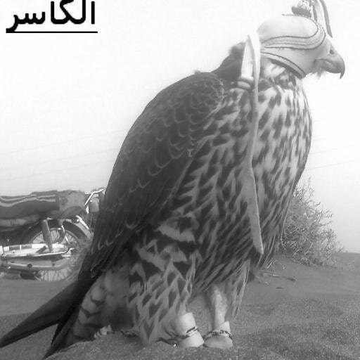 جمعان عبدالله علي