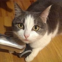 Дмитро Рубльов