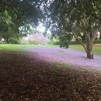 Tracey Maria Steinbach