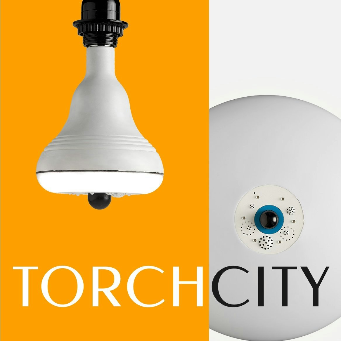 Torchcity