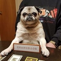 Jennifer Danesi Adams