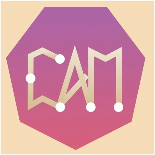 CAM Consulting