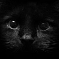 Agnieszka Lewandowska