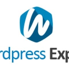 WordPress Experts