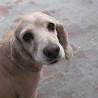 David Ruiz Villanueva