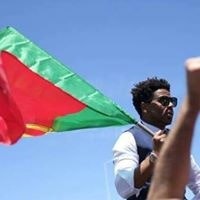 Francisco Cardoso Pinto