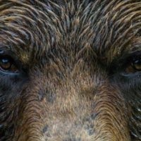 Susan Knight Riggins Waters