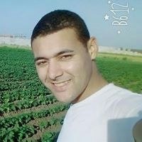 Ahmed Abdel Mgeed