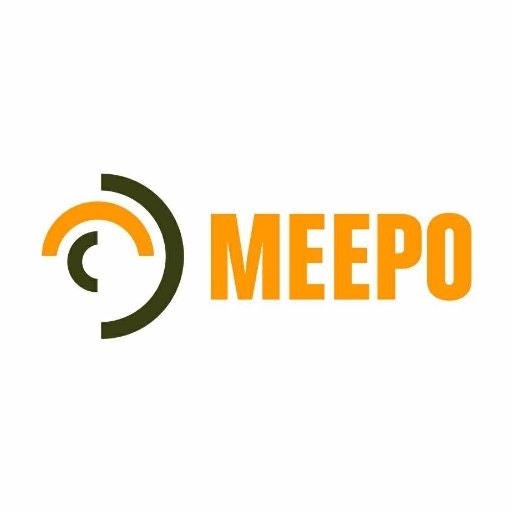 Meepo Electric Skate