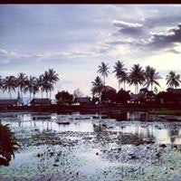 Dhanadi Kusuma Wardana