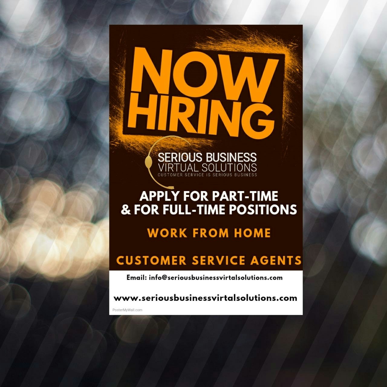 Serious Business Virtual Solutions