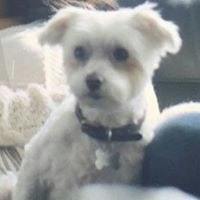 Sarah Sciarani Polito