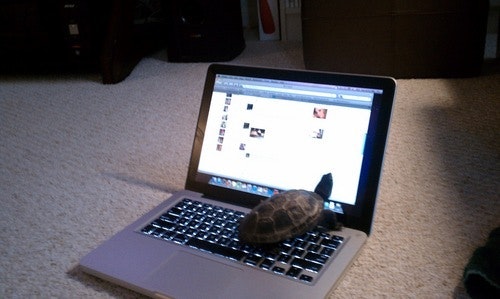 Jessica Lagala Young