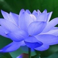 Trương Huy Chương