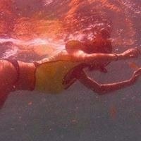 Ryan Elizabeth Wolff