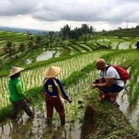 Marco GuernYesterday