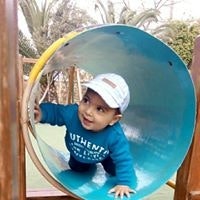 Mohammed Gamal El-Prince