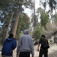 Vincent Antonio Nardi