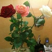 Natalia  Tsymanovskaya