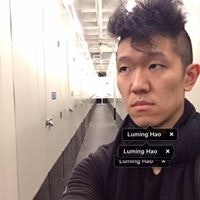 Luming Hao