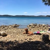 Aleksandra Nika Lasić