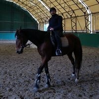 Aydın Sidret Mangan