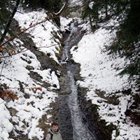 Александр Макушин