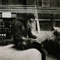 Xavier Balderas Cejudo