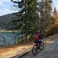 Burcu Çetinkaya Öztürk