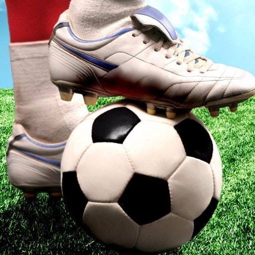 الجول ELGOAL.NET