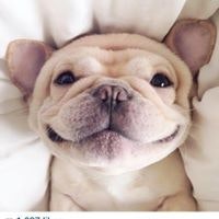 Kathleen Vasconcellos