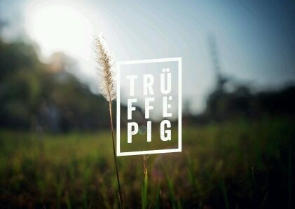 TRÜFFLEPIG