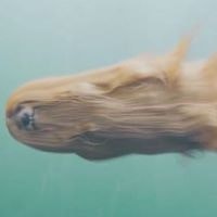 Elodie Cassie Radach