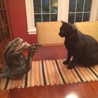 Corrine Zappia Gormont