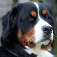 Олег Климов