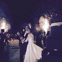 Palm Anthony Cavallo