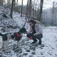 Carmine Frankie Ragone