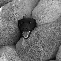 Aleksandr Mostovenko