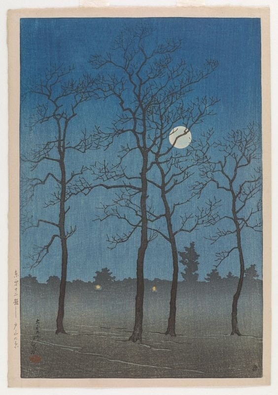 hatice kışgüneşi