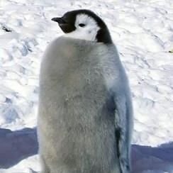 うめもとりょう