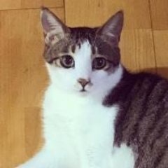 Trent - Android Dev.