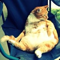 Synthia Helena Penner DeFriesen