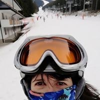 Верчик Печенькин