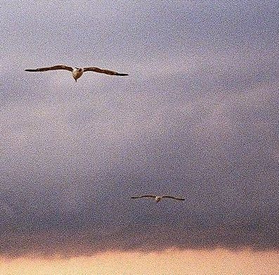 Kirył Plyaškievič