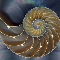 Helena Abreu Niranjana