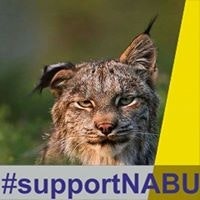 Iryna Borysyuk Shafinska