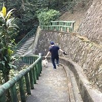 Marcelo Gonçalves Cunha