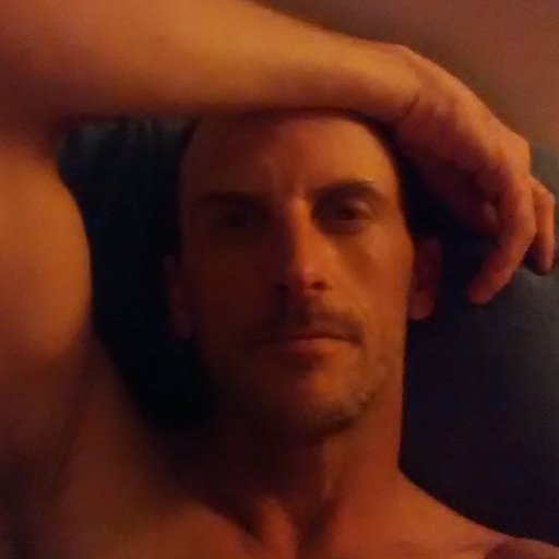 Robin David Lauscher