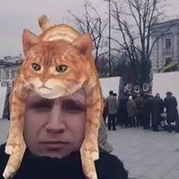 Lietus Daina Ramonas